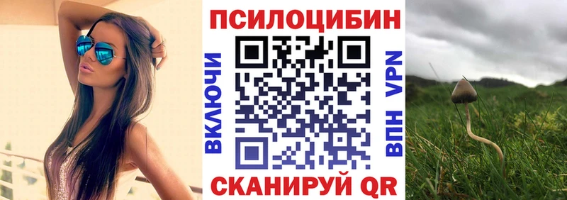 Псилоцибиновые грибы Cubensis  Северская 
